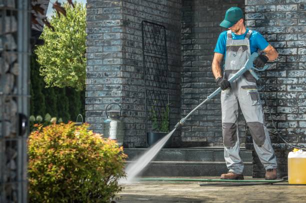 Best Window and Screen Pressure Cleaning in Muleshoe, TX